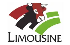 Logo Limousine